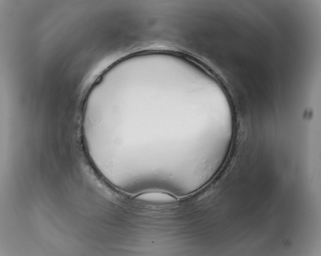X0000112521367200909141212