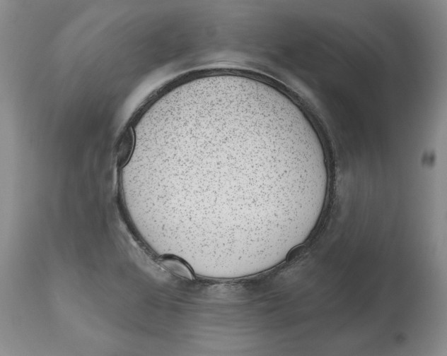 X0000112521368200909141212