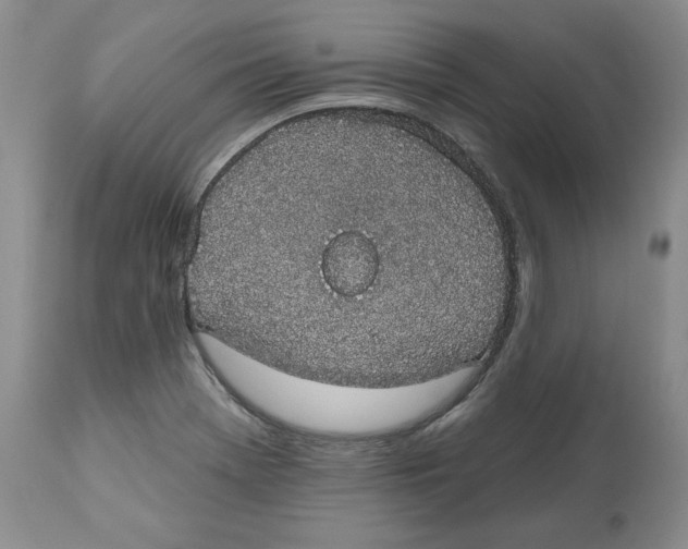 X0000112521369200909141212