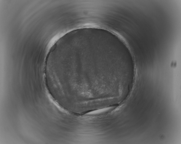 X0000112521373200909141212