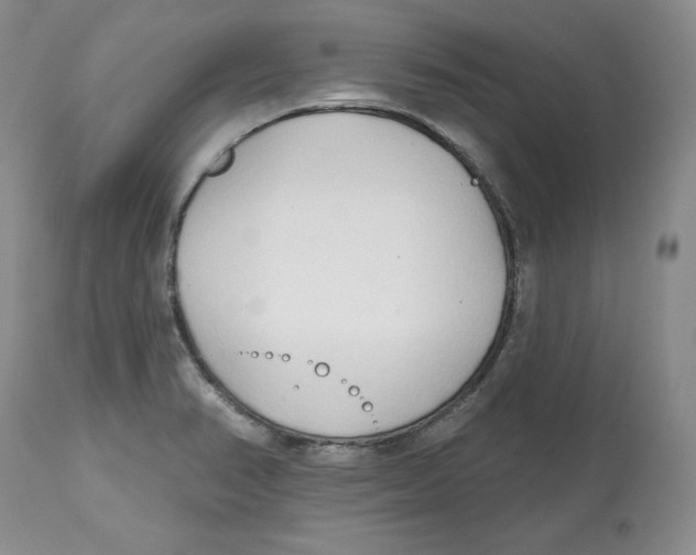 X0000112521374200909141212