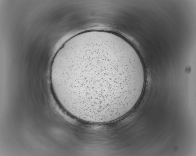 X0000112521375200909141212