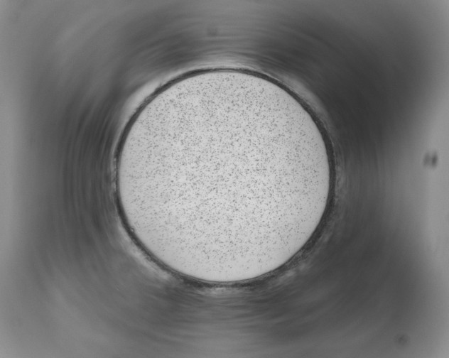 X0000112521380200909141212