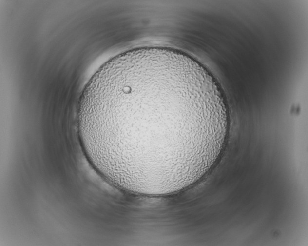 X0000112521382200909141212