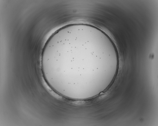 X0000112521388200909141212
