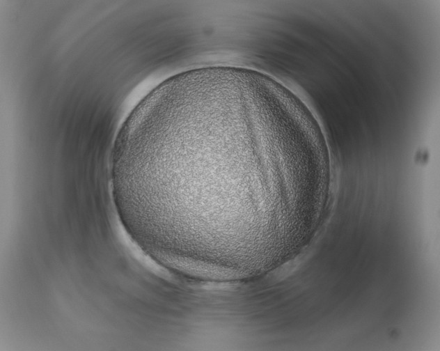 X0000112521389200909141212