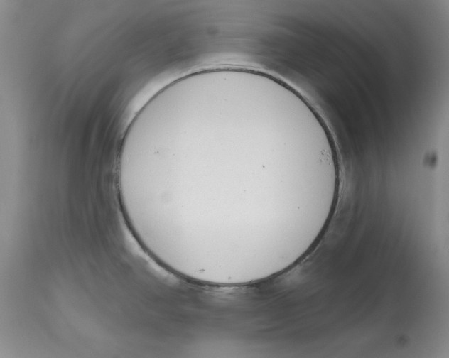 X0000112521390200909141212