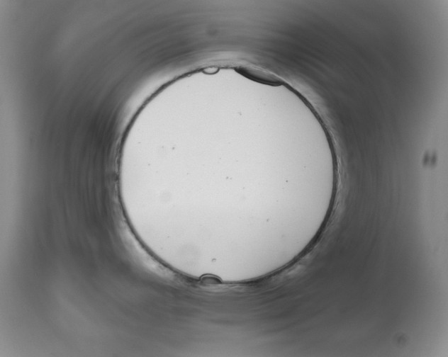 X0000112521392200909141212