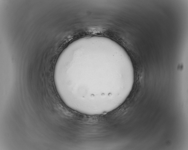 X0000112521393200909141211