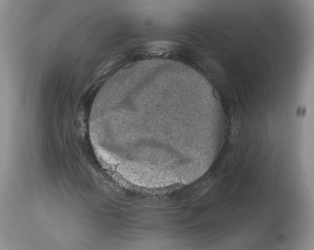 X0000112521394200909141211