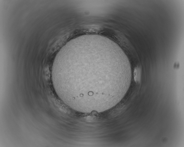 X0000112521395200909141211