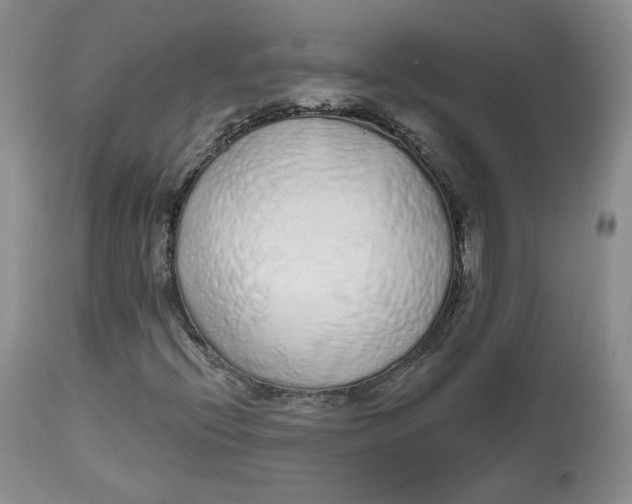 X0000112521396200909141212