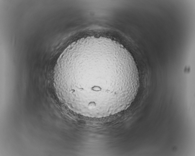 X0000112521397200909141212
