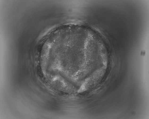 X0000112521399200909141212