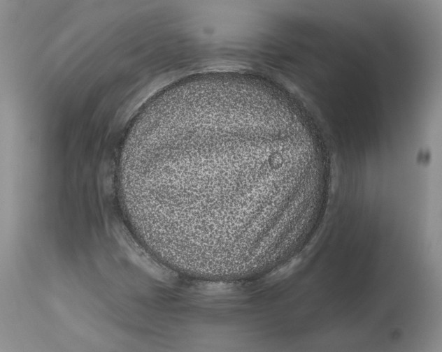 X0000112521401200909141212