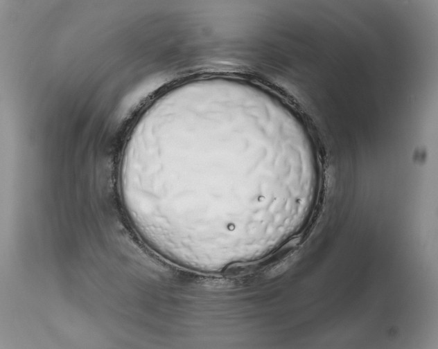 X0000112521402200909141212