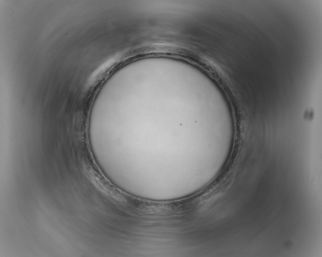 X0000112521403200909141212