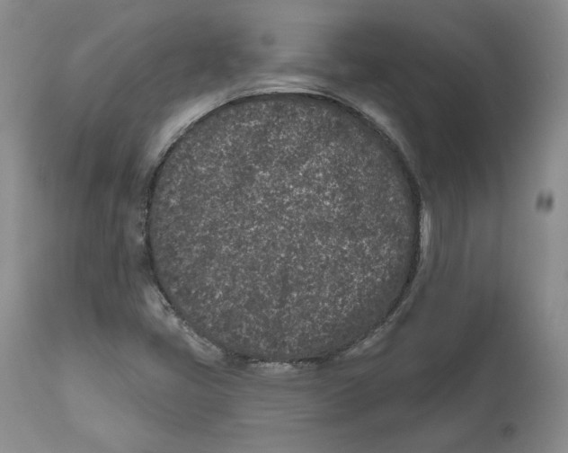 X0000112521405200909141212