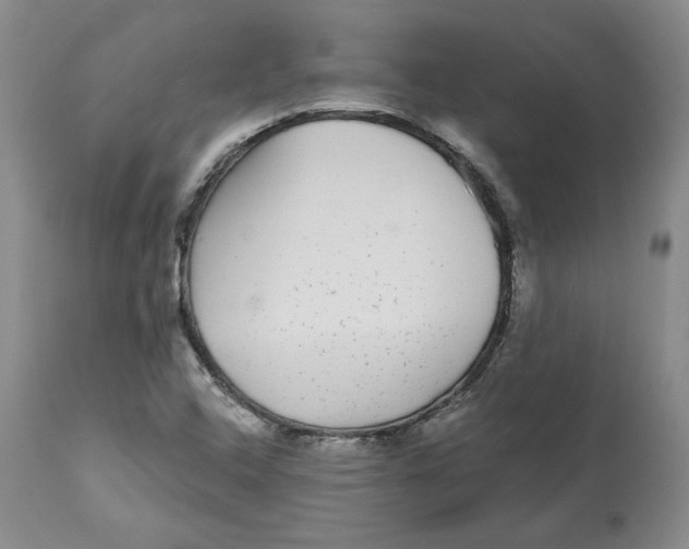 X0000112521408200909141212