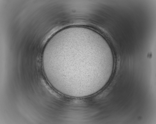 X0000112521409200909141212