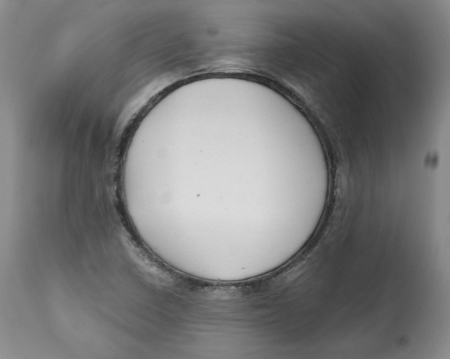 X0000112521410200909141212