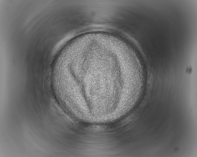 X0000112521411200909141212