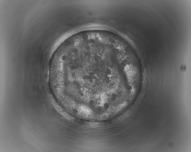 X0000112521413200909141212