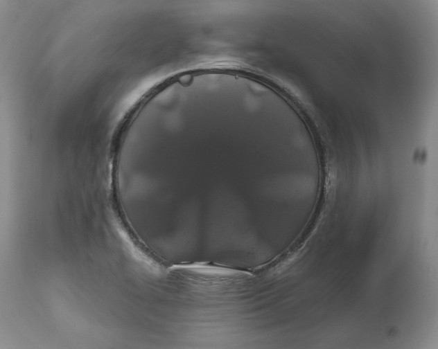 X0000112521414200909141212