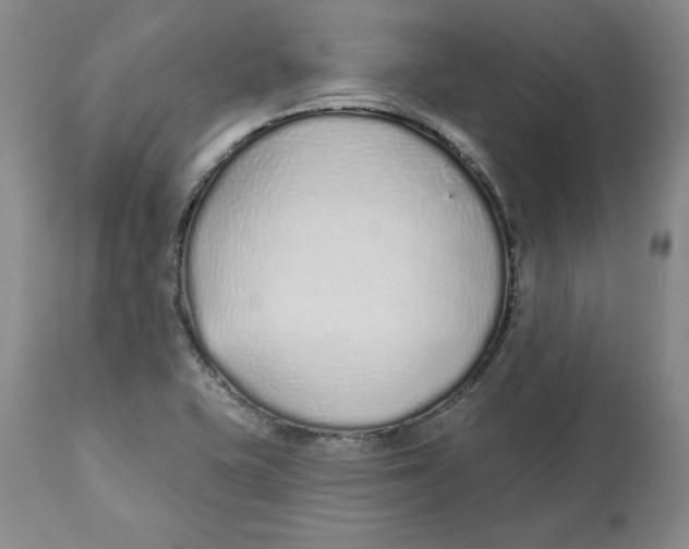 X0000112521415200909141212