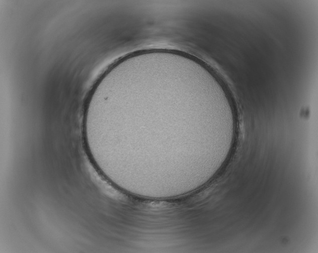 X0000112521416200909141212