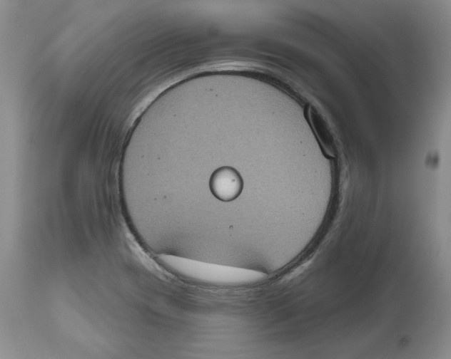 X0000112521417200909141212