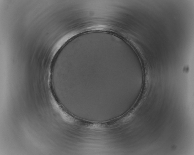 X0000112521418200909141212