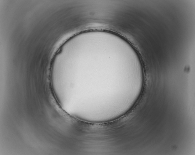 X0000112521421200909141212