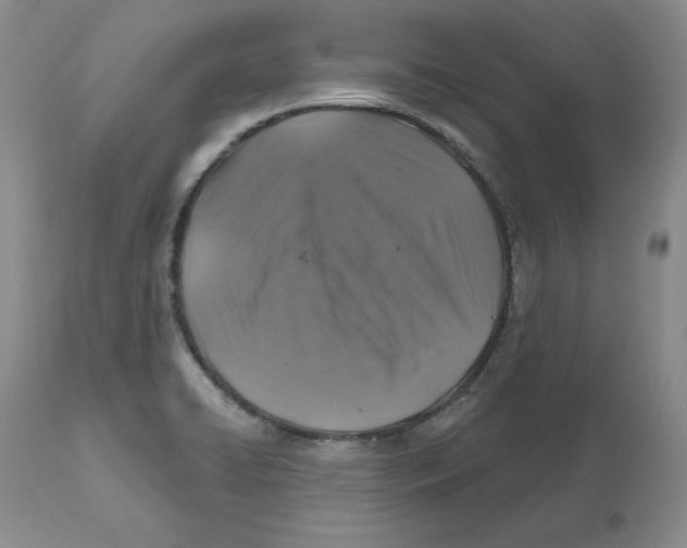 X0000112521422200909141212
