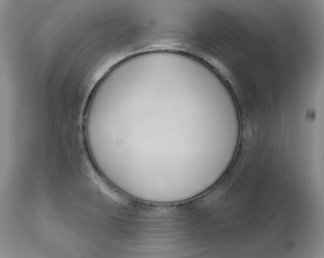 X0000112521423200909141212