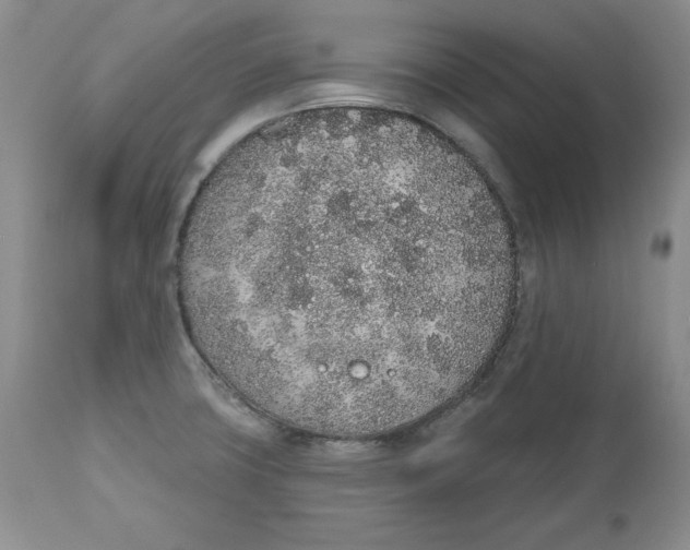 X0000112521427200909141212