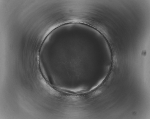 X0000112521428200909141212