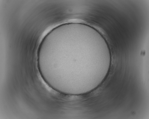 X0000112521430200909141212