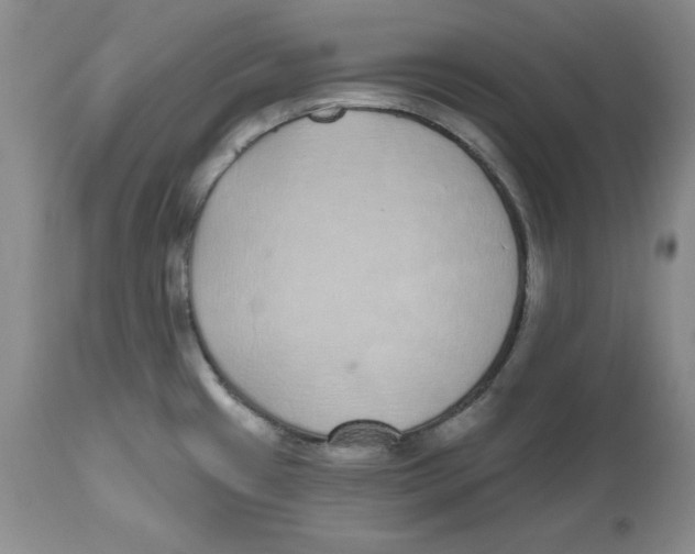 X0000112521433200909141212