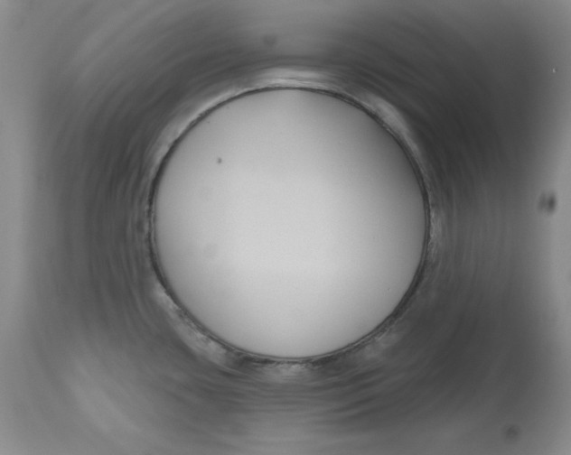 X0000112521435200909141212