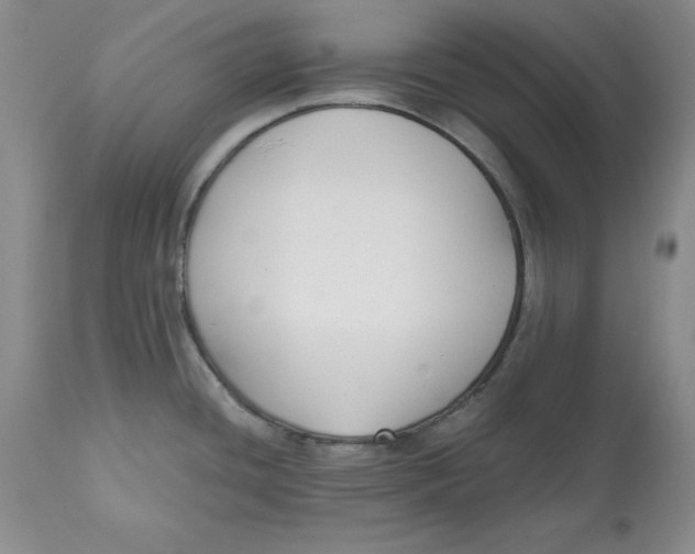 X0000112521436200909141212