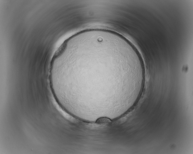 X0000112521437200909141212