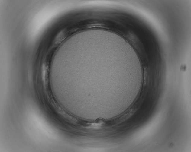 X0000112521438200909141212