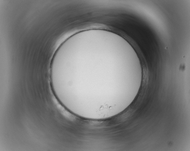 X0000112521439200909141212