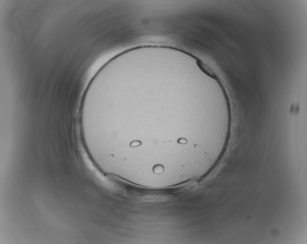 X0000112521440200909141212
