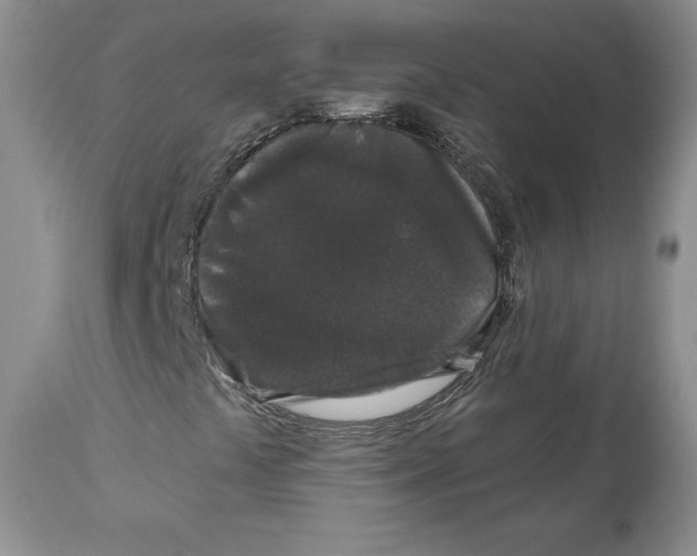 X0000112521441200909141211