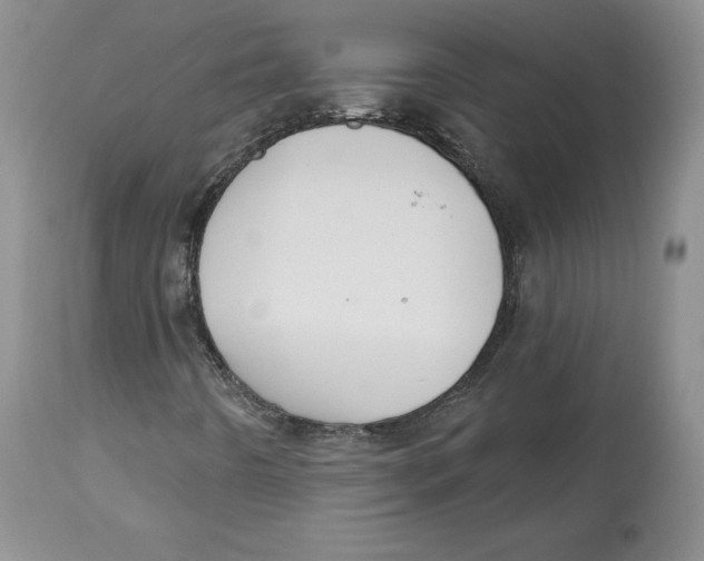 X0000112521442200909141211