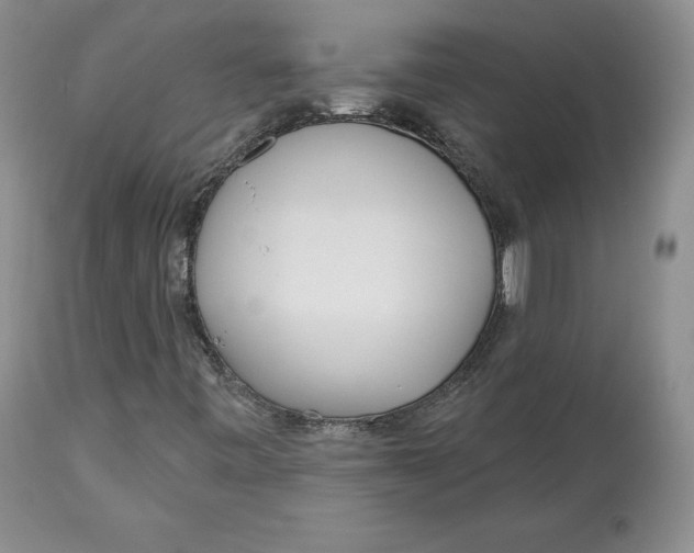 X0000112521443200909141211