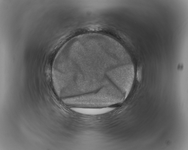 X0000112521444200909141211