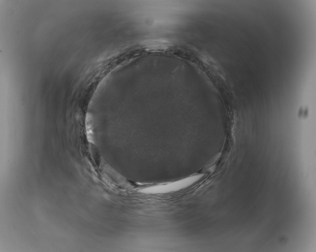 X0000112521445200909141211